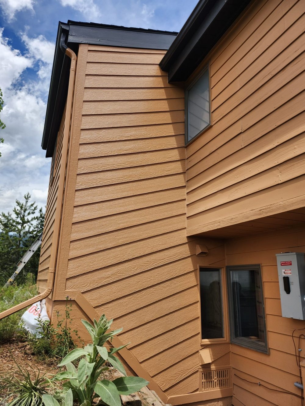 Wood-siding home exterior detail